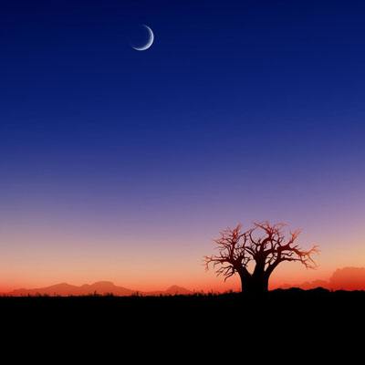 管家婆期期四肖四码中特管家手机app下载